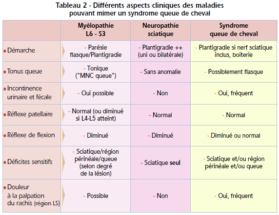 tableau 2 : Les affections pouvant mimer un syndrome de la queue de cheval